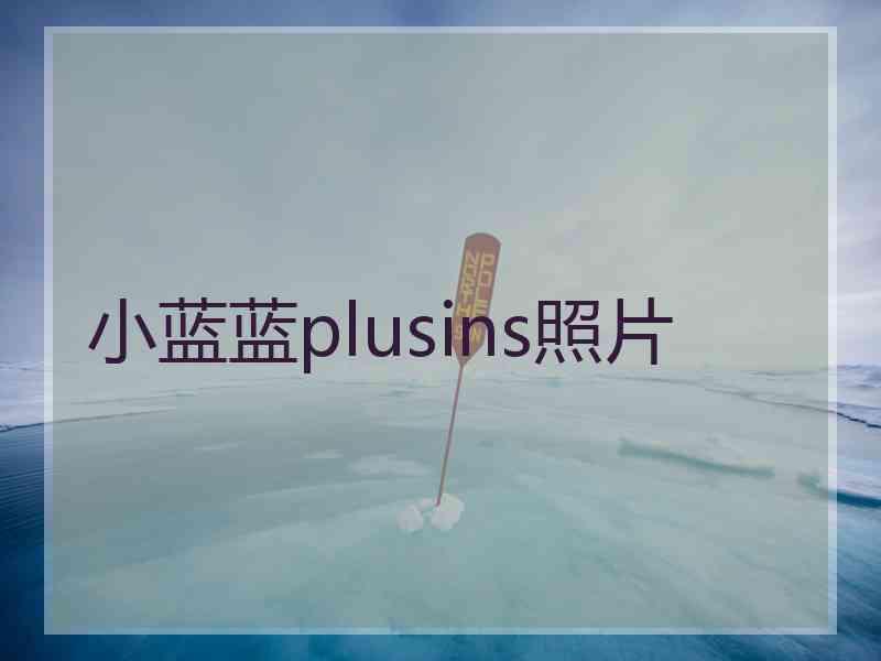 小蓝蓝plusins照片