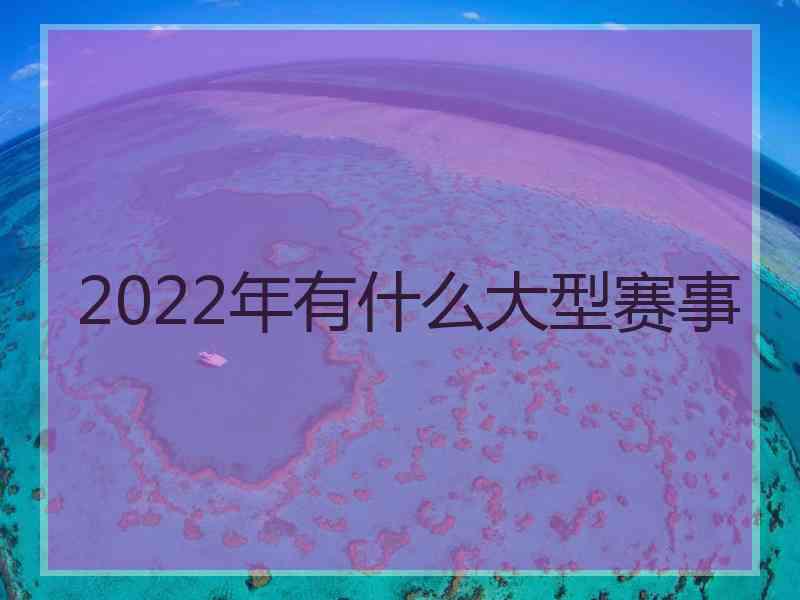 2022年有什么大型赛事