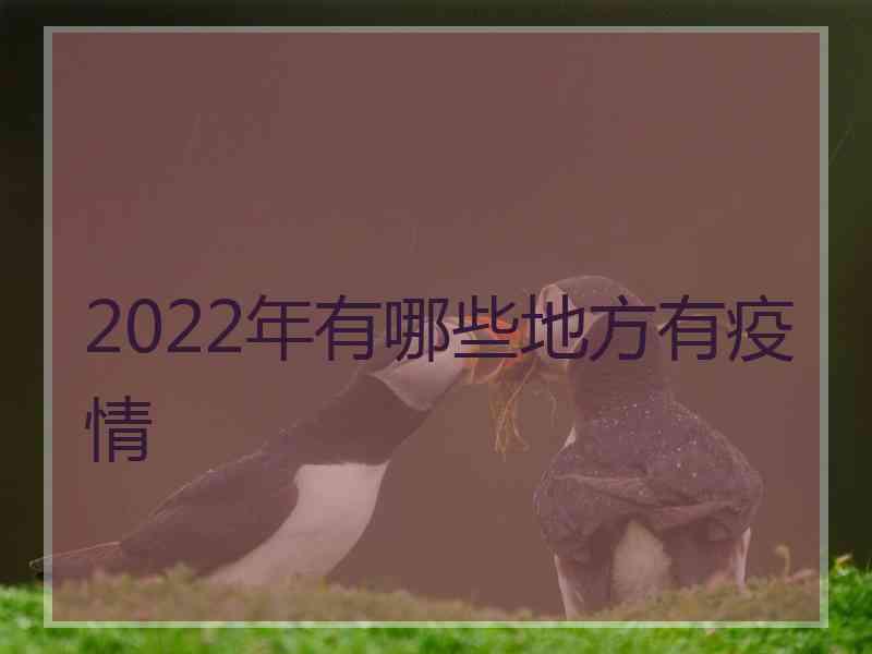 2022年有哪些地方有疫情