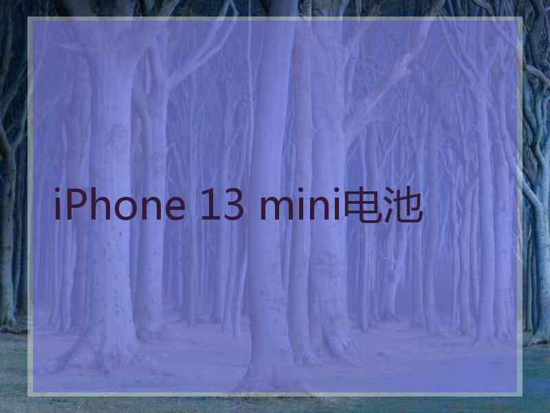 iPhone 13 mini电池