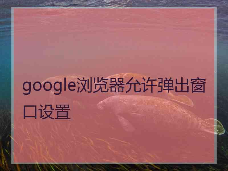 google浏览器允许弹出窗口设置