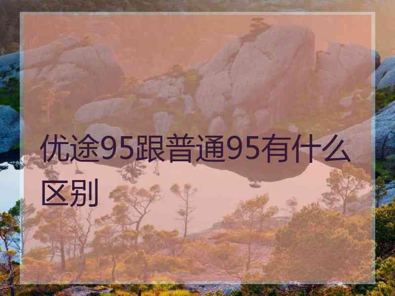 优途95跟普通95有什么区别