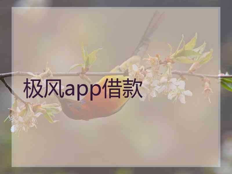 极风app借款