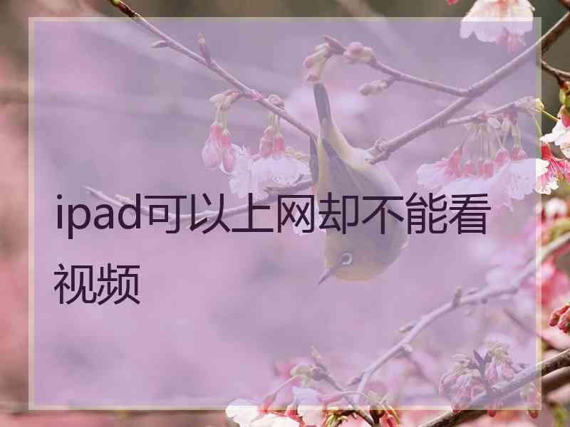 ipad可以上网却不能看视频