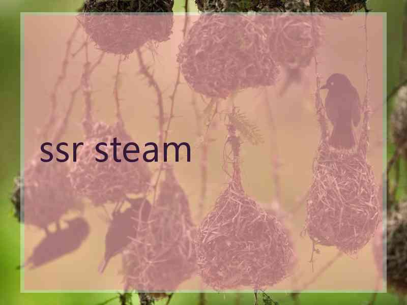 ssr steam