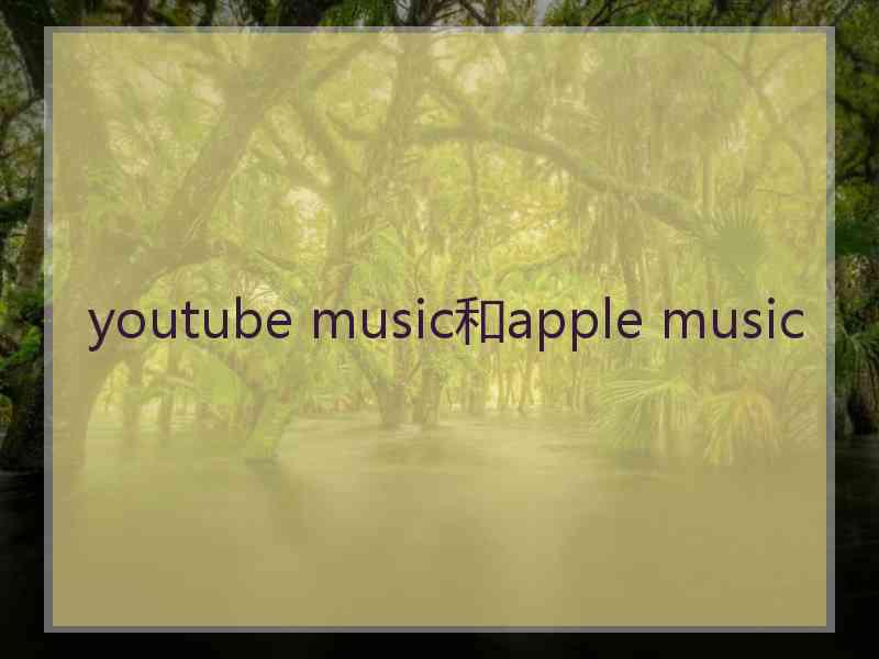 youtube music和apple music