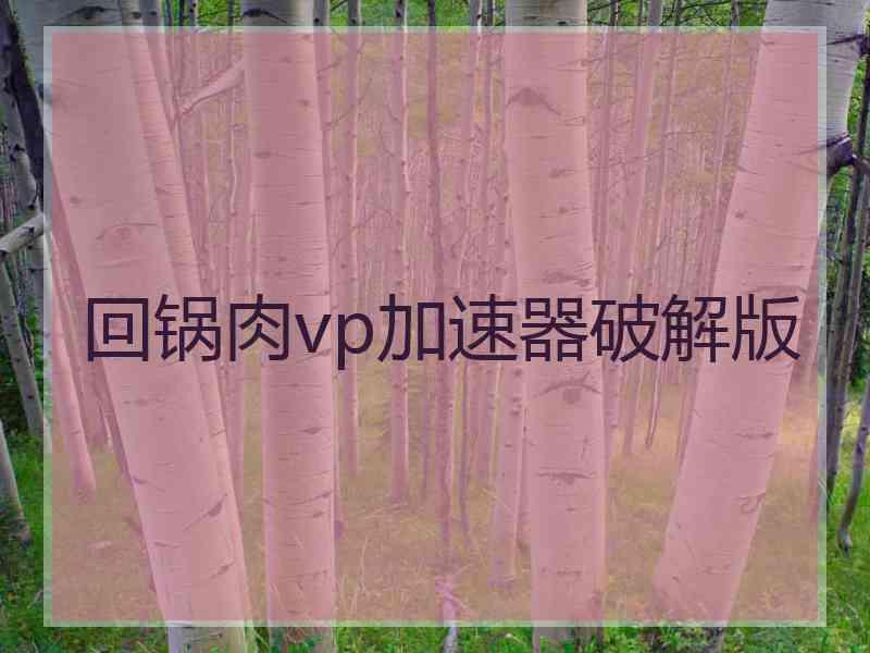 回锅肉vp加速器破解版