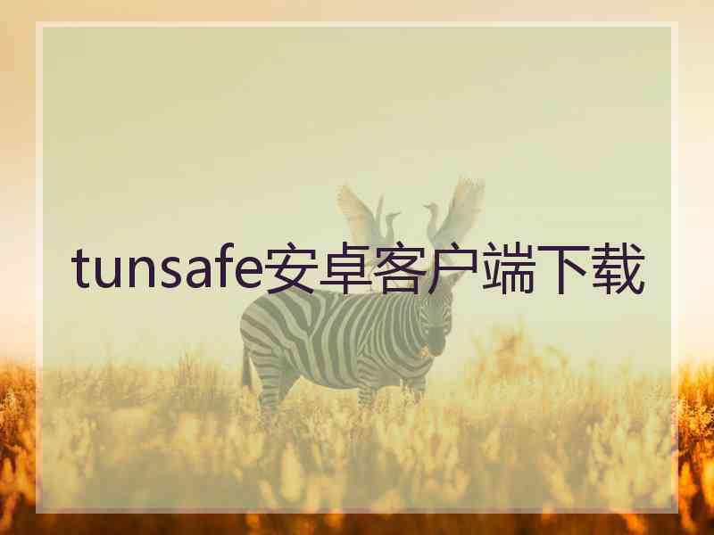 tunsafe安卓客户端下载