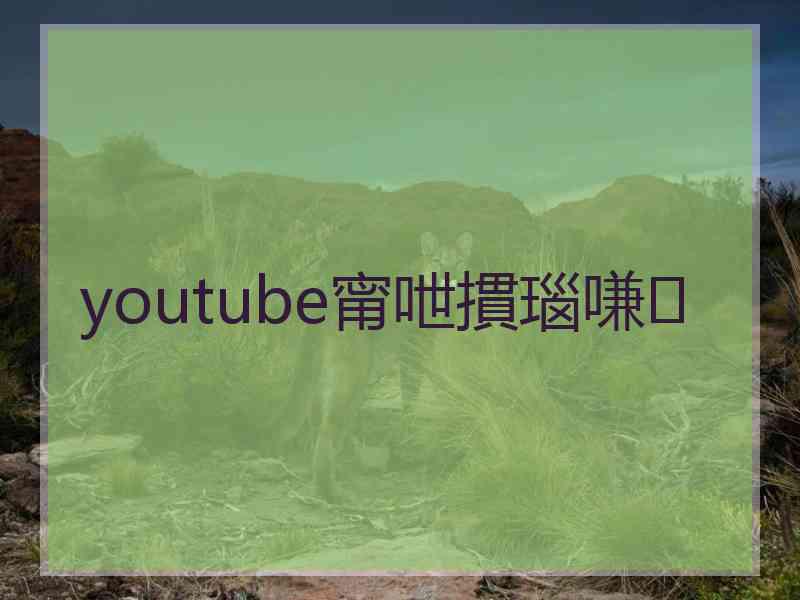 youtube甯呭摜瑙嗛