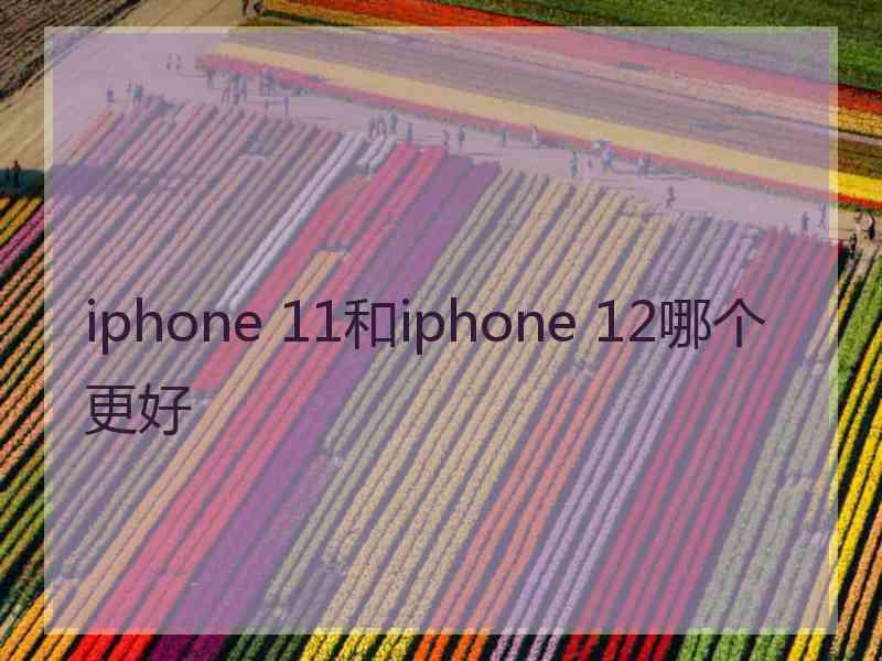 iphone 11和iphone 12哪个更好