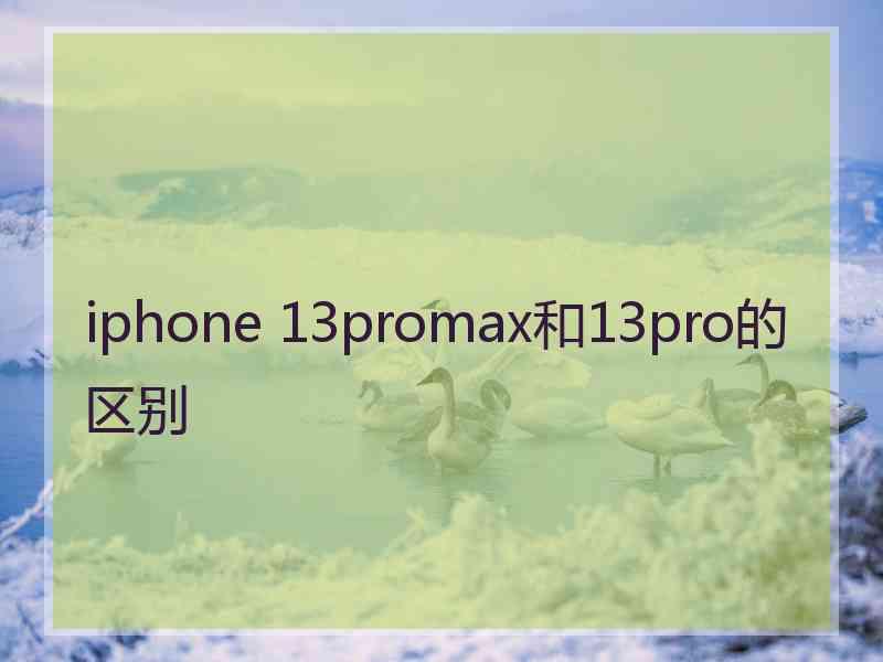 iphone 13promax和13pro的区别