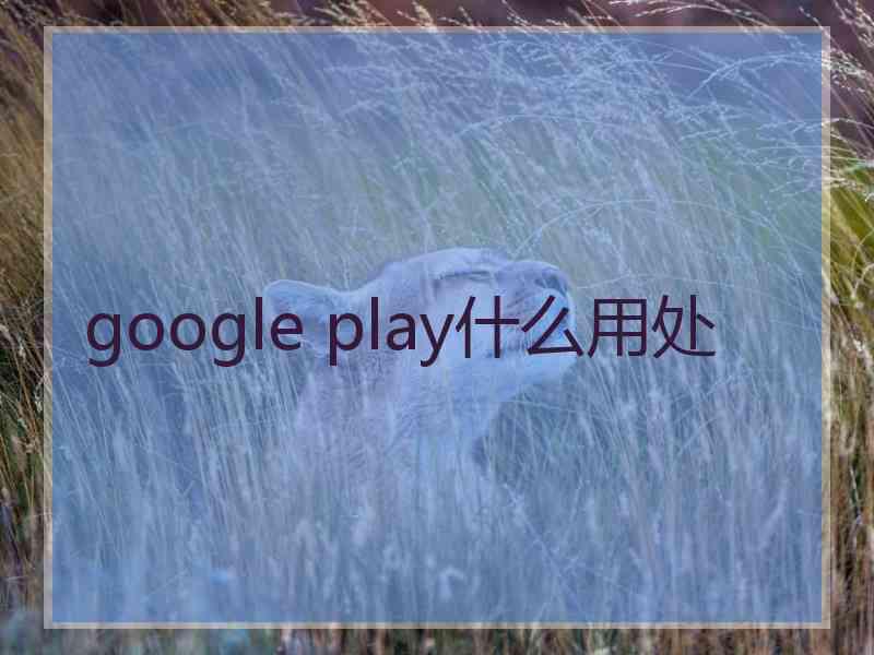 google play什么用处