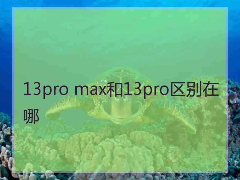 13pro max和13pro区别在哪