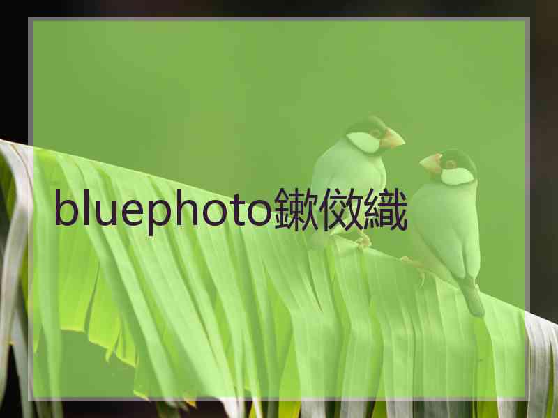 bluephoto鏉傚織