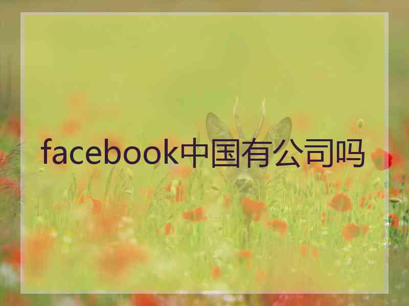 facebook中国有公司吗