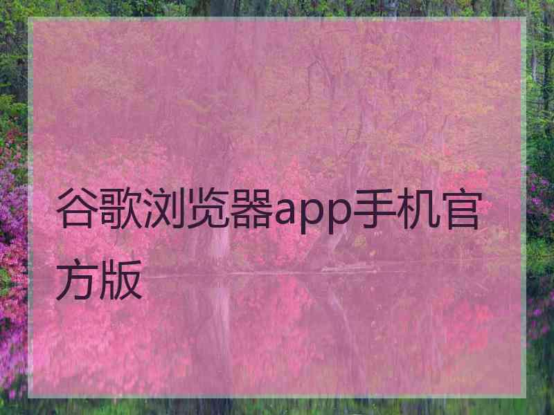 谷歌浏览器app手机官方版