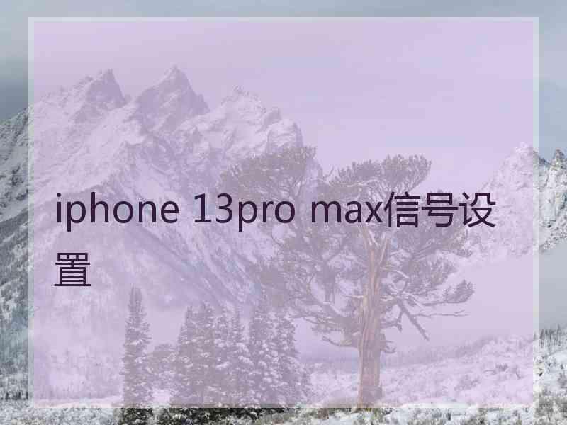 iphone 13pro max信号设置