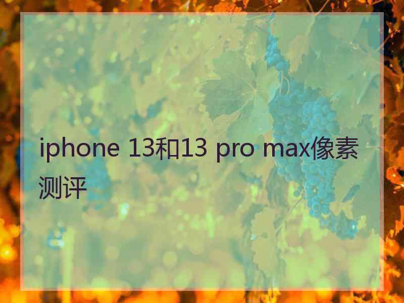 iphone 13和13 pro max像素测评