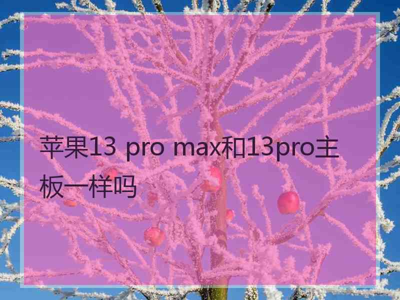 苹果13 pro max和13pro主板一样吗