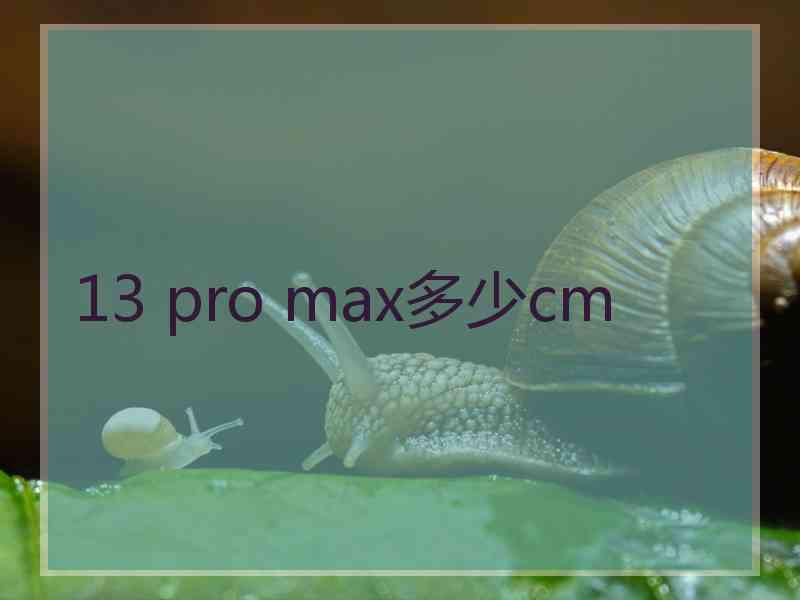 13 pro max多少cm