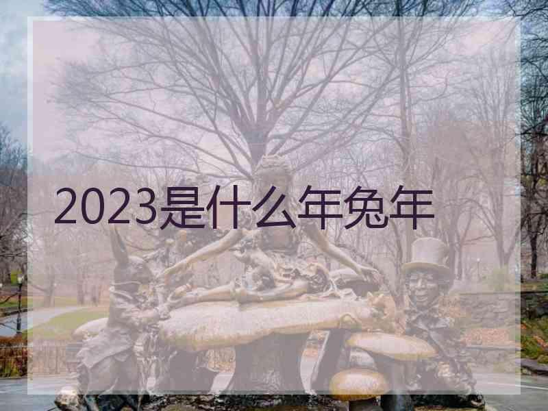 2023是什么年兔年