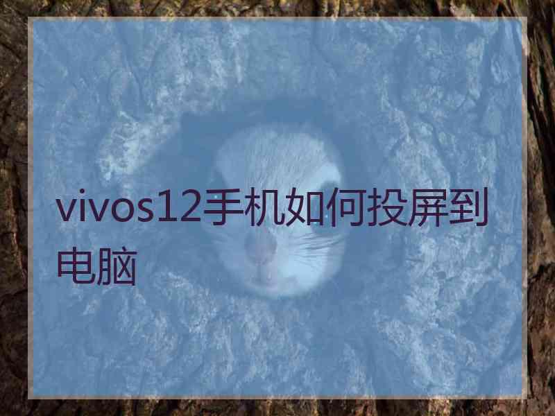 vivos12手机如何投屏到电脑