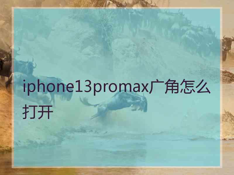 iphone13promax广角怎么打开