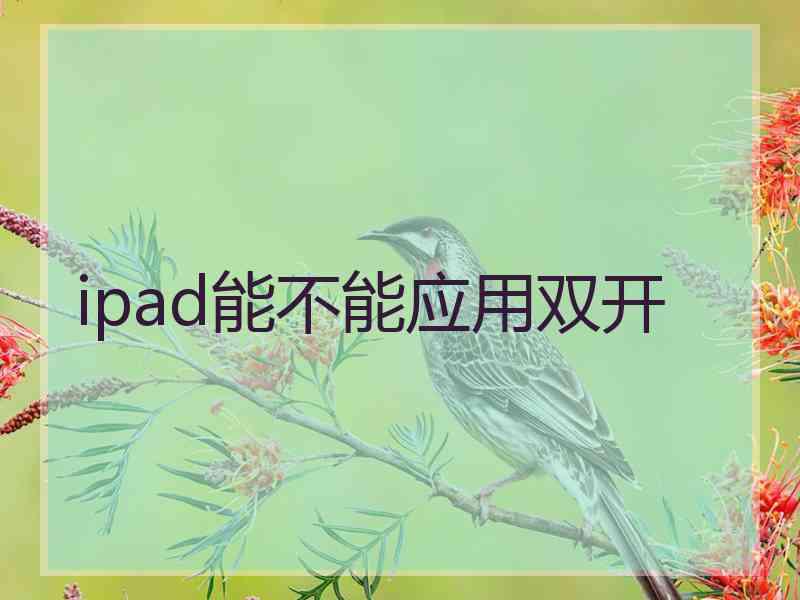 ipad能不能应用双开