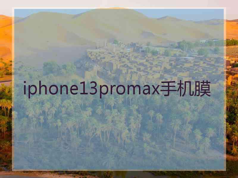 iphone13promax手机膜