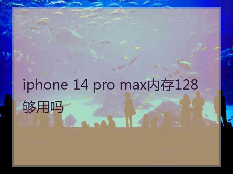 iphone 14 pro max内存128够用吗