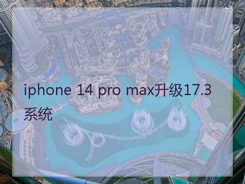 iphone 14 pro max升级17.3系统