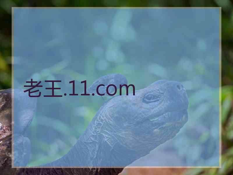 老王.11.com