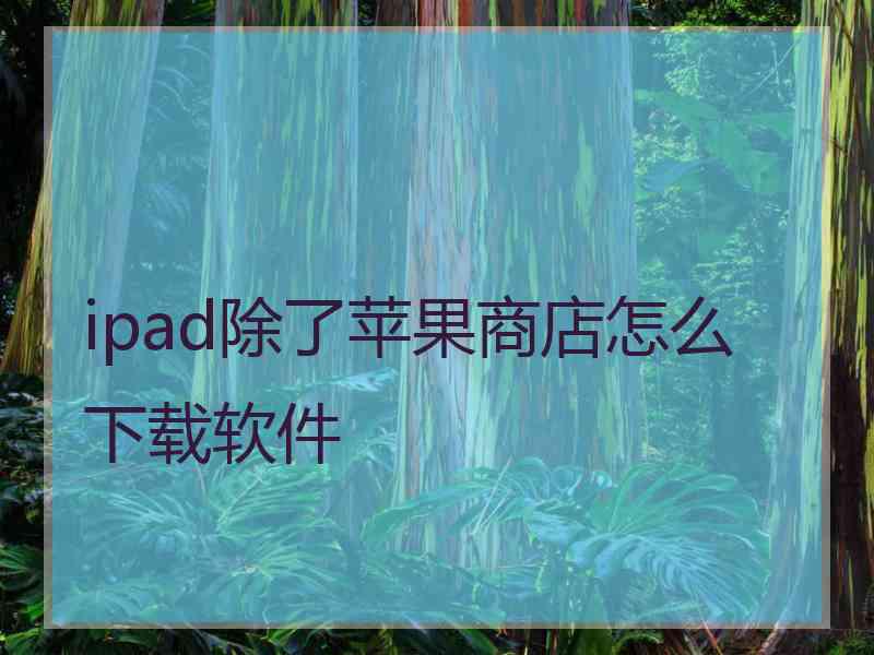 ipad除了苹果商店怎么下载软件