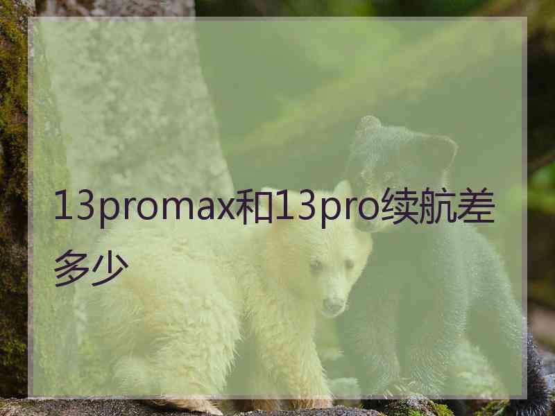 13promax和13pro续航差多少