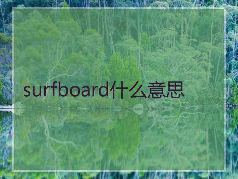 surfboard什么意思