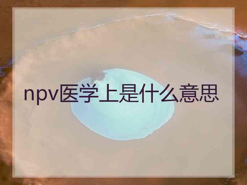 npv医学上是什么意思