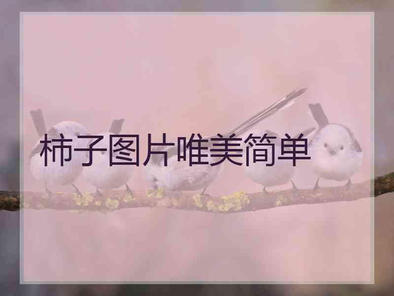 柿子图片唯美简单